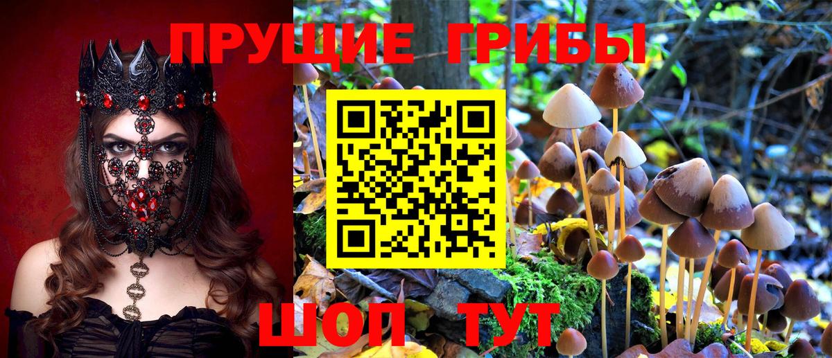 Псилоцибиновые грибы мухоморы  Псилоцибиновые грибы ЛСД  Вход с VPN  Чусовой 